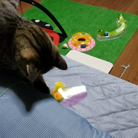 咬みつくおんニャ！の画像