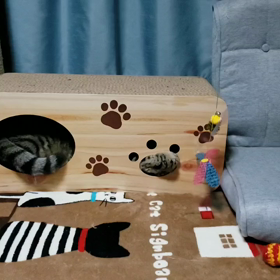 Ｕｔ♪の画像