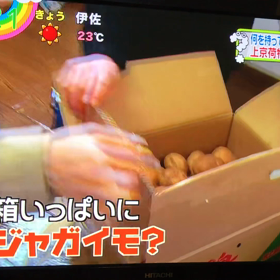 テレビの反響っての画像