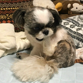 ビンタするな❗️の画像