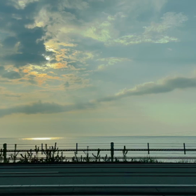 やっぱり海はいーの画像