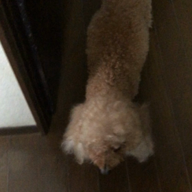 きのうよりの画像