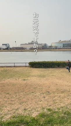 【3/27〜30】あっちゅーまやの記事動画