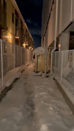 【1/25】雪国育ちは雪でも走れる？の記事動画