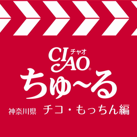 ちゅーるメーカーの画像