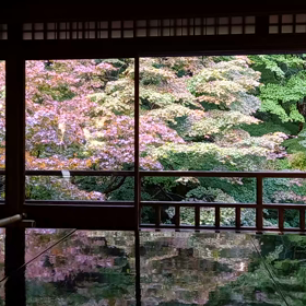 京都での画像