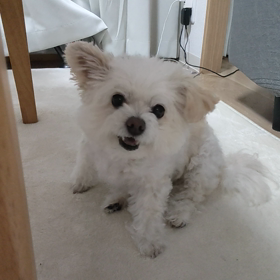 大学病院へ入院初日①の画像