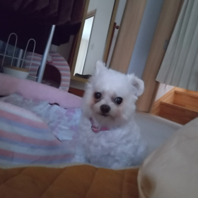 長かった１週間の画像