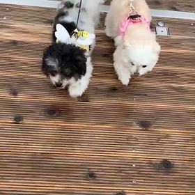 一筋縄ではいかないの画像