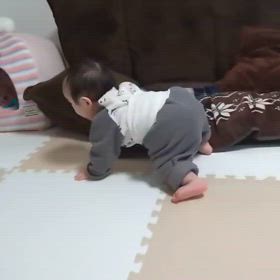 カオスの画像