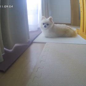 半年ぶりの病院の画像