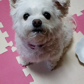 慶弔欄を見てビックリの画像