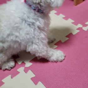 初めて行ったスナックの画像