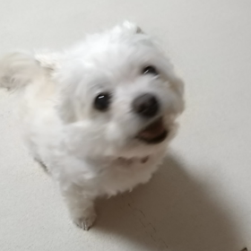 困ったお客様。。。の画像