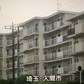 1型DMと針の放送の画像