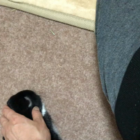 ブレずに、行け。の画像