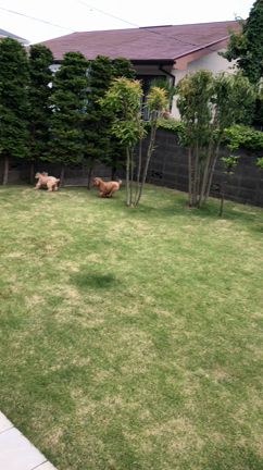 お顔が潰れるような寝方なんだよねぇの記事動画