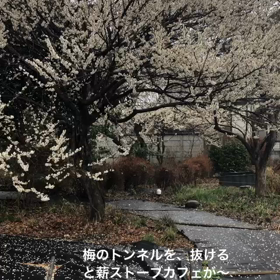 ワクワク物語の画像