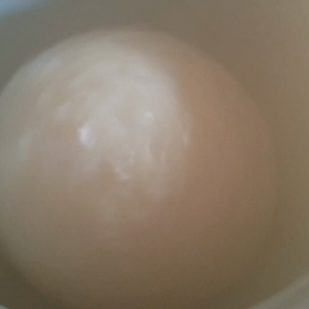 もちっ子フル回転の画像