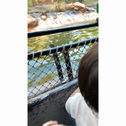息子とTDLへ。の記事動画