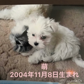 2021.4.17  15歳5ヶ月　の画像