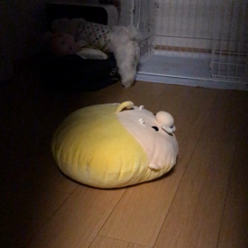 深夜の遊びの画像