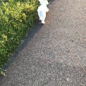 色々と後悔の画像
