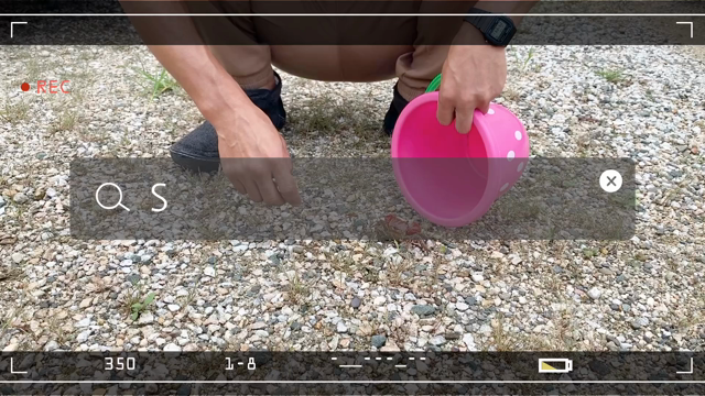 これだけを大事にする子育ての記事動画