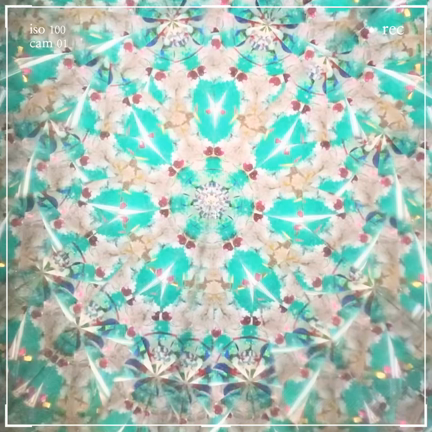 これだけを大事にする子育ての記事動画