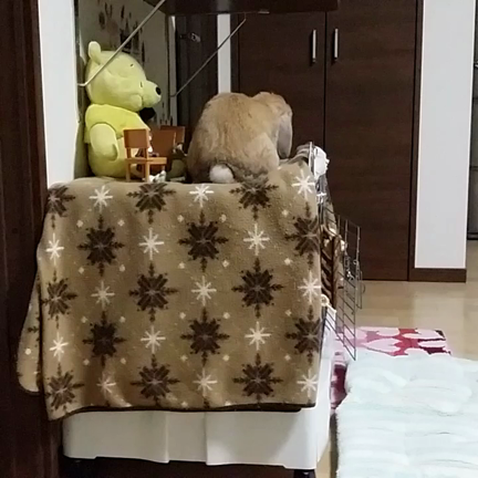 過去の動画ですが(=ﾟωﾟ)ﾉ(=ﾟωﾟ)ﾉの記事動画