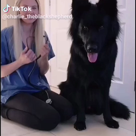 かわいいの画像