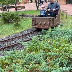 白樺湖動画の画像