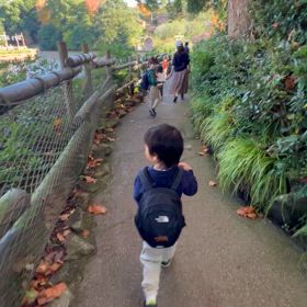 2024年11月17日　クリスマスディズニー　動画の画像