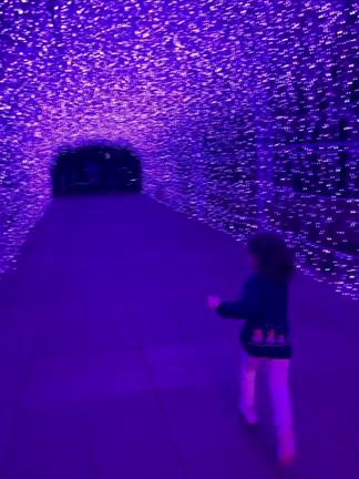 2026/03/09の記事動画
