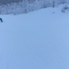 levi  ski 記録③の画像