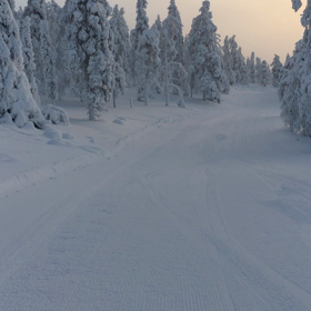 to NORTHの画像