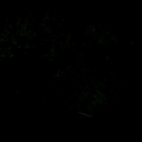 秋の演奏会の画像