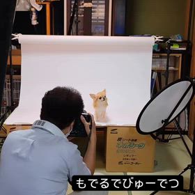 2024/06/30の画像