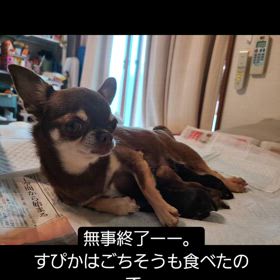 2024/06/11の画像