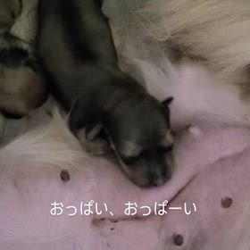 2024/09/15の画像