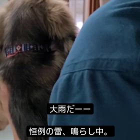 2024/07/20の画像