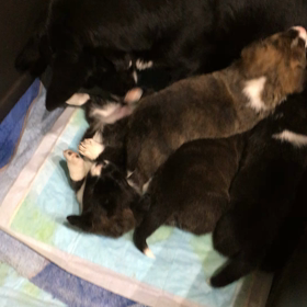 生後一月経ちました。の画像