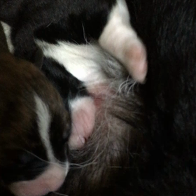 ぐびぐびの画像