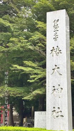 「好きなことを仕事に」を続けられる?の記事動画