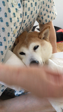 水分は大事の記事動画