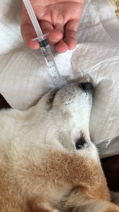 alive！の記事動画