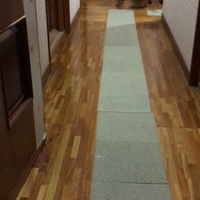 気まぐれなモコの画像