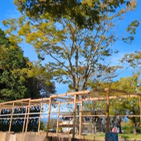 9/30 公園でお昼の画像