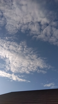 うろこ雲　龍神と白蛇と奇跡の真実の記事動画