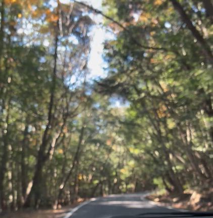 霧島の紅葉の記事動画